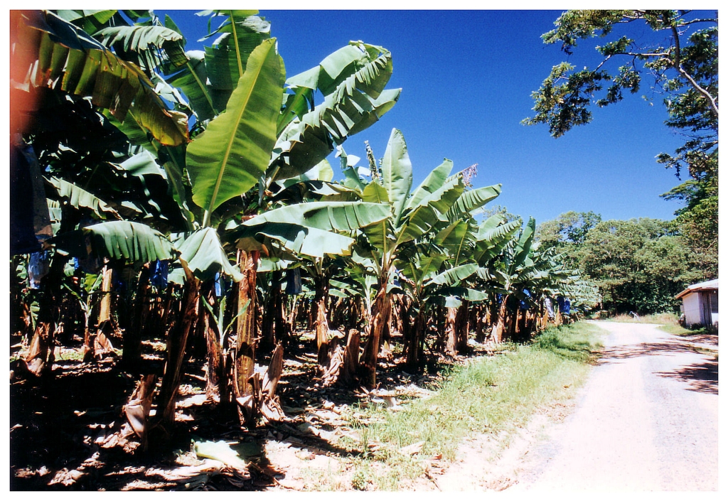 04 - Queensland (38).jpg